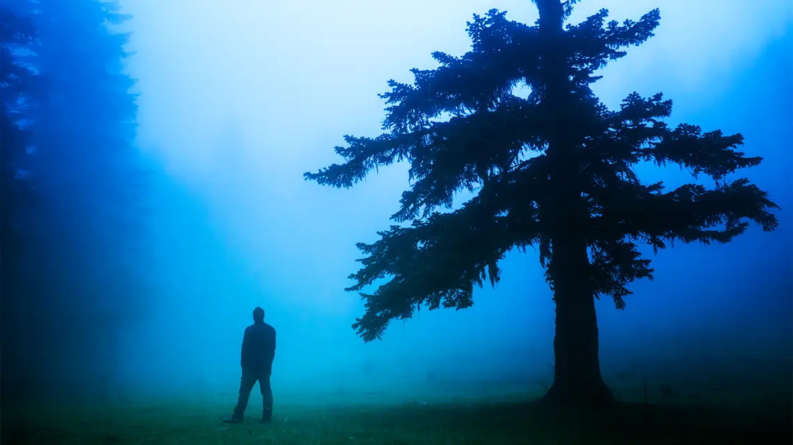  // Fot. kofana12 / Shutterstock