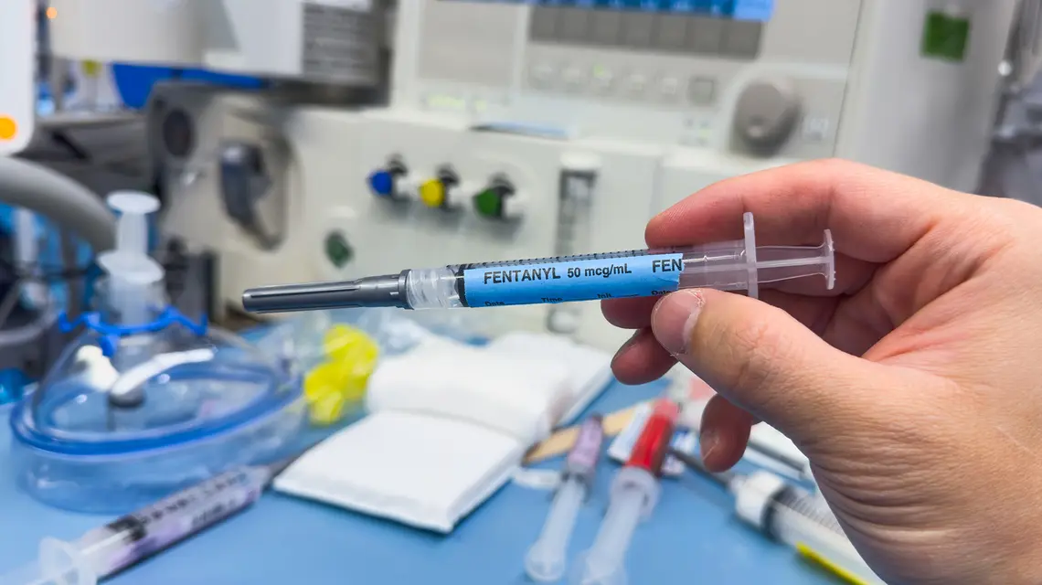 // Fot. Your Hand Please / Shutterstock