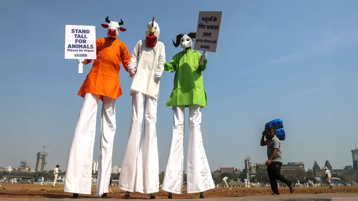 Aktywiści organizacji PETA w barwach indyjskiej flagi zachęcają do rezygnacji z jedzenia mięsa. W Indiach działa też wiele mniejszych organizacji pozarządowych, które za pieniądze władz łączą prowegetariańską agendę z mową nienawiści wobec muzułmanów. Bombaj, 24 stycznia 2025 r. // Fot. Divyakant Solanki / EPA / PAP