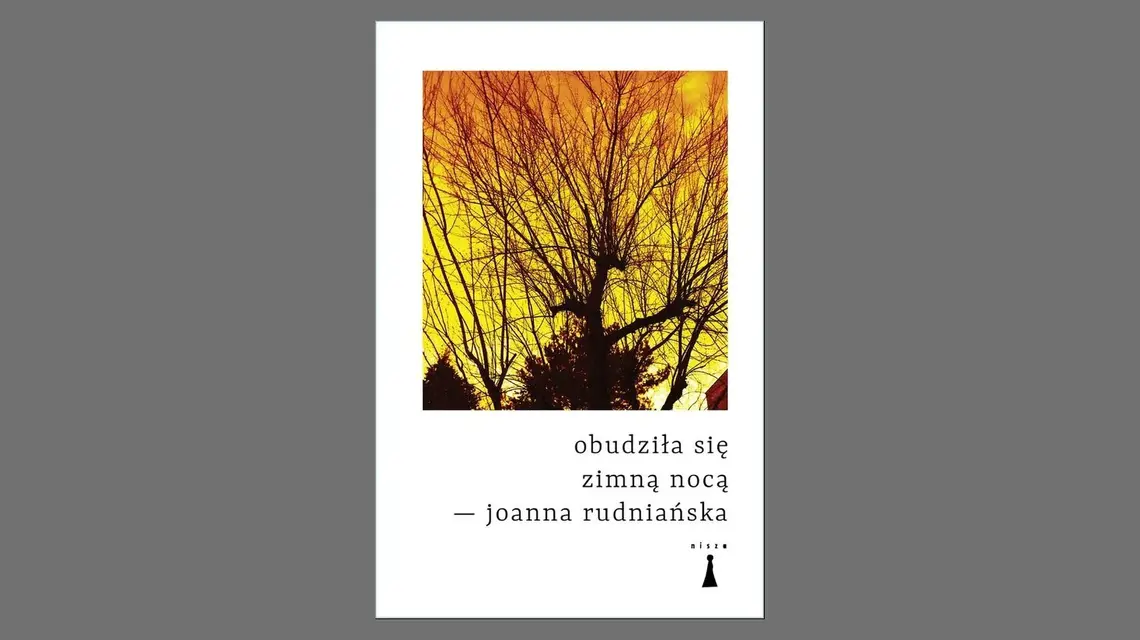 Joanna Rudniańska, "Obudziła się zimną nocą", wydawnictwo Nisza // materiały prasowe