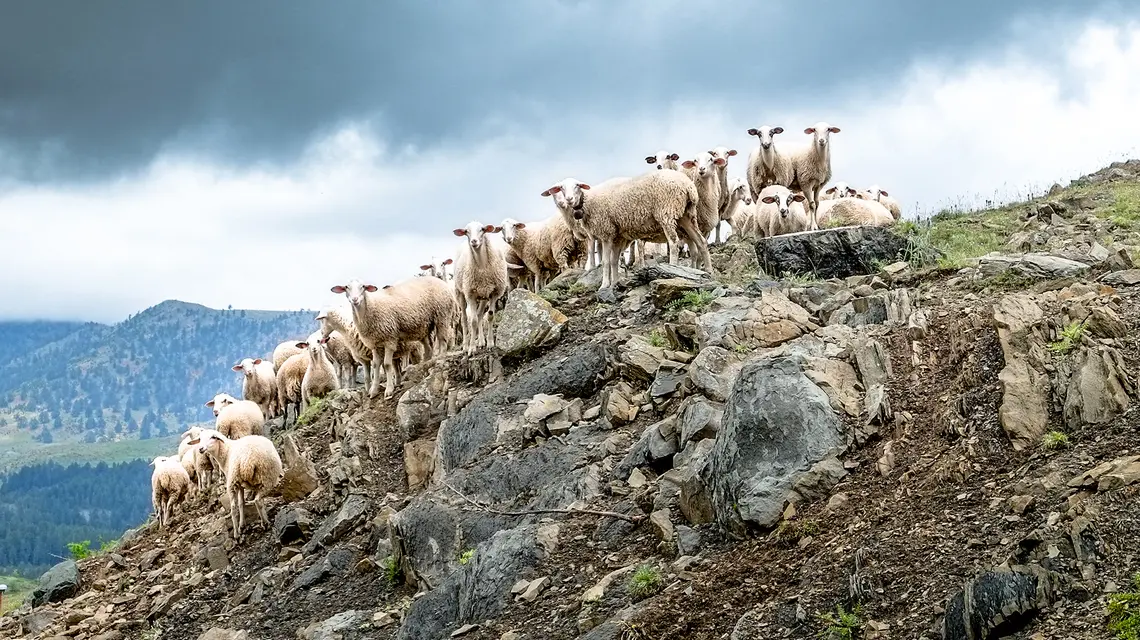 // Fot. Ntoumas Antonios / Shutterstock