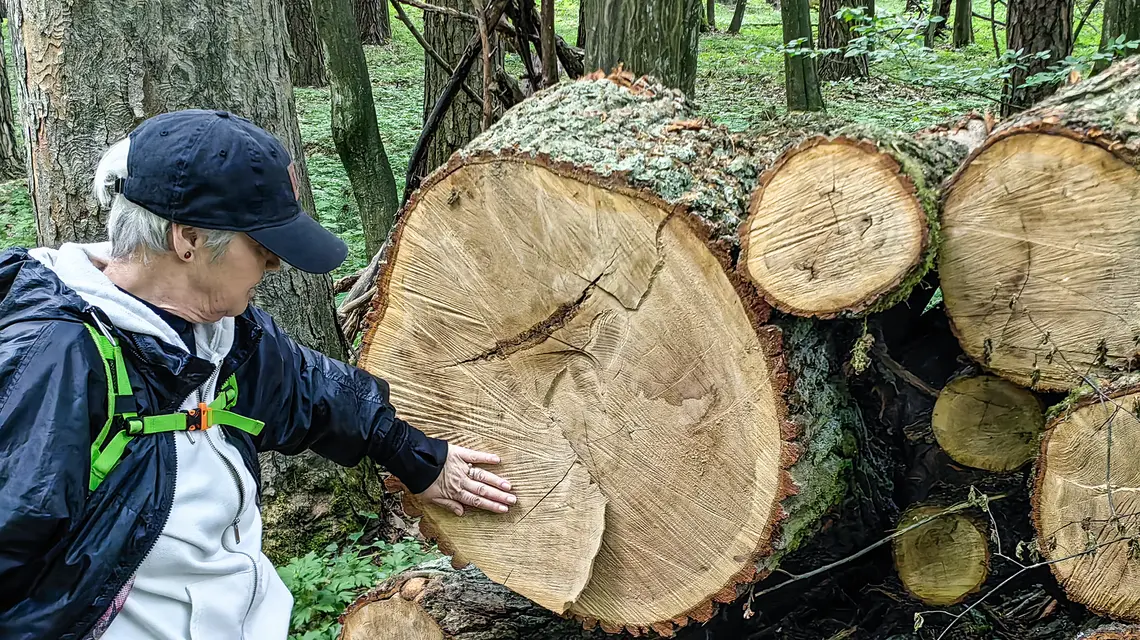 Pozostałość Puszczy Łódzkiej w Rezerwacie Przyrody Wiączyń. Maj 2025 r. // Fot. Andrzej Zbraniecki / East News