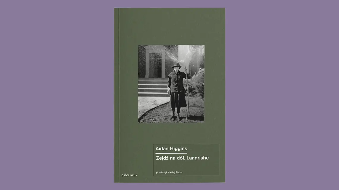 Aidan Higgins Zejdź na dół, Langrishe, przekład Maciej Płaza // Wydawnictwo Ossolineum 