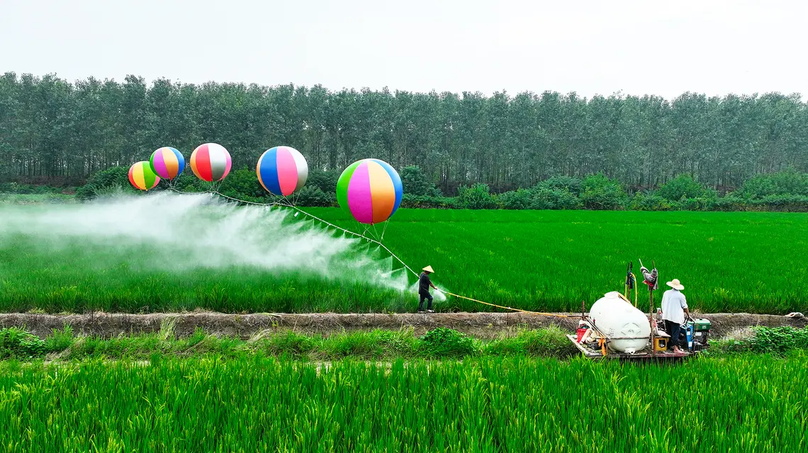 Balony wodorowe do opryskiwania pestycydami pól ryżowych w Suqian w prowincji Jiangsu w Chinach, 21 sierpnia 2024 r. // Fot. CFOTO / Future Publishing / Getty Images