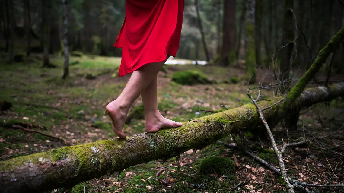 // Fot. Nico.Stock / Shutterstock