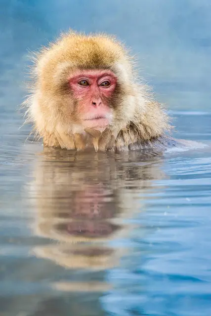  / ISTOCK / GETTY IMAGES