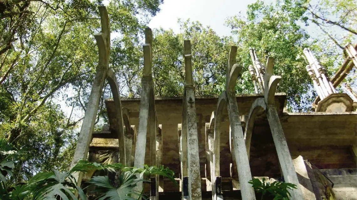 Las Pozas, Meksyk, 2011 r. / fot. Michał Paweł Markowski / 