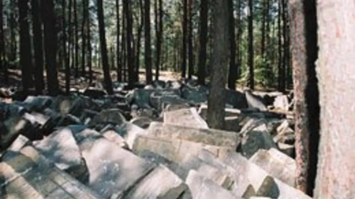 Macewy złożone na dawnym kirkucie / 