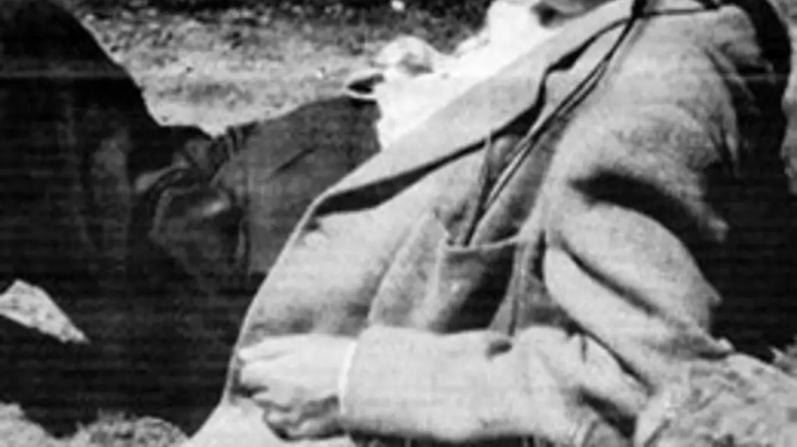 Theodor Wiesengrund Adorno / 