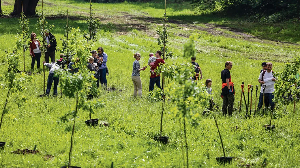Akcja sadzenia drzew w Parku Krakowian, maj 2017 r. / MICHAŁ ŁEPECKI / AGENCJA GAZETA / 