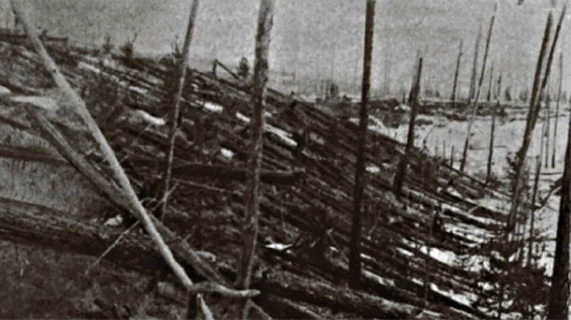 Drzewa powalone katastrofą tunguską. Zdjęcie ekspedycji Leonida Kulika, 1927 r. / 