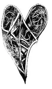 rys. A. Pieniek / 