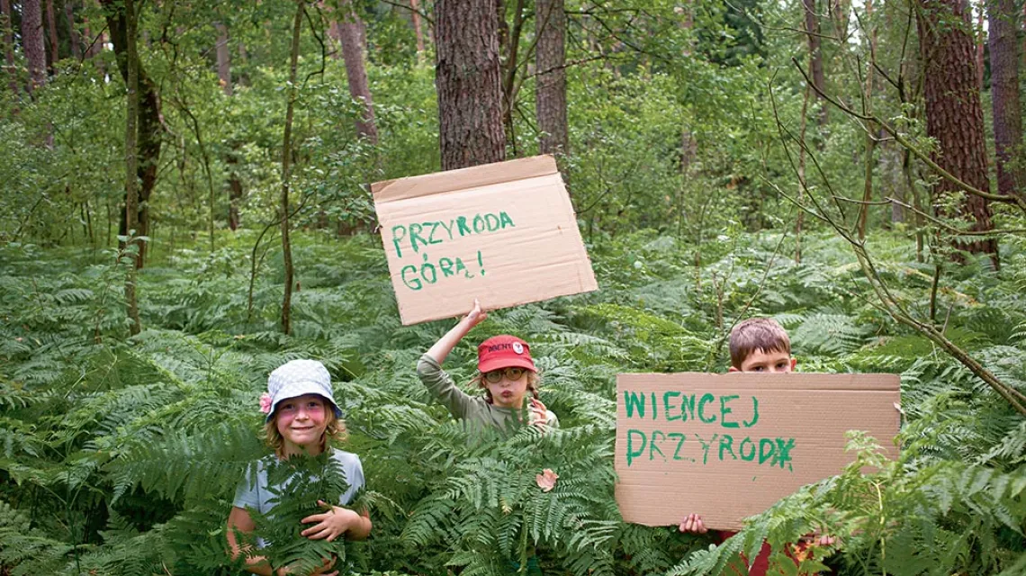 Las Parowy niedaleko Szumina. Miejscowe dzieci protestują przeciwko wyrębowi, lipiec 2019 r. / JAN BRYKCZYŃSKI