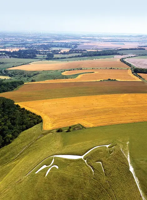 Biały Koń z Uffington, figura licząca ok. 3 tys. lat, to cel wielu Brytyjczyków, którzy w tym roku spędzają urlop w kraju. / DAVID PARKER / EAST NEWS / DAVID PARKER / EAST NEWS