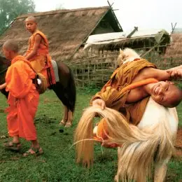 fot. MATERIAŁY DYSTRYBUTORA / 