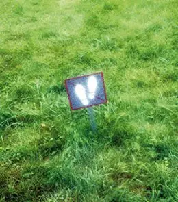 /fot. P. Krzakiewicz - visavis.pl / 