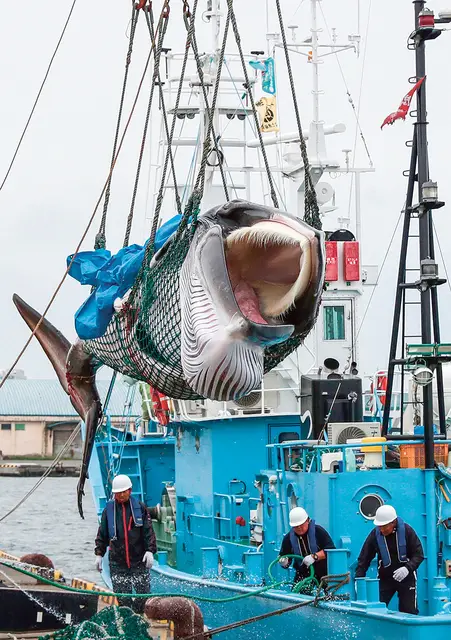  / TAKUYA MATSUMOTO / AFP / EAST NEWS