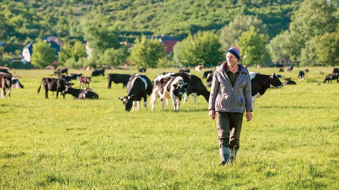 Jeden z właścicieli stada wolnych krów Marian Skorupa, Deszczno, 29 maja 2019 r. / LECH MUSZYŃSKI / PAP