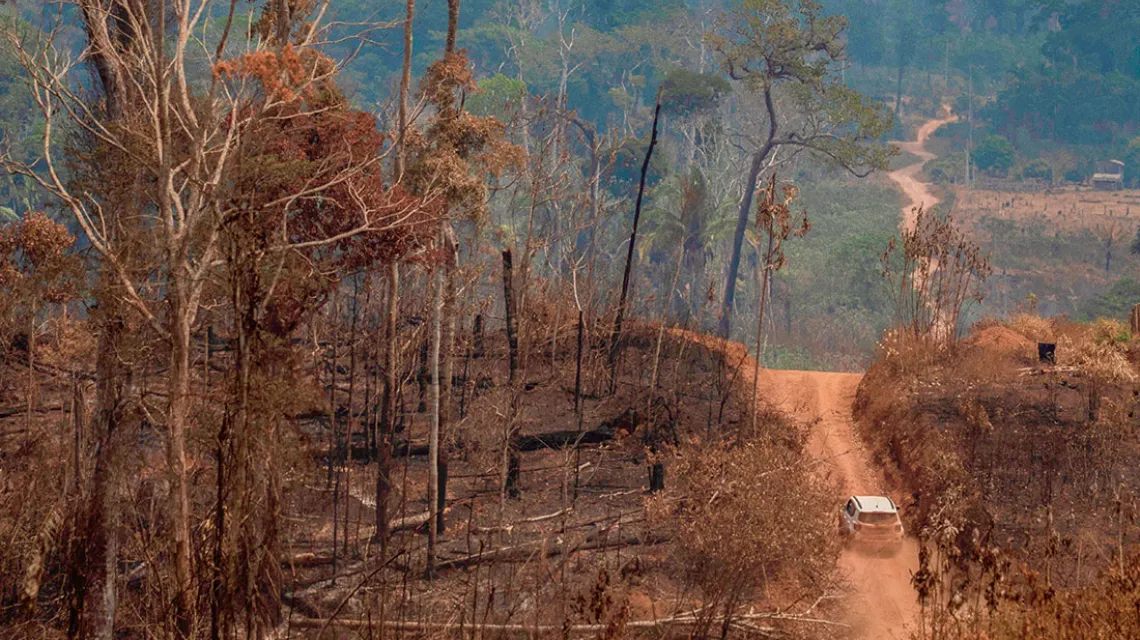 Spalony fragment Puszczy Amazońskiej w stanie Rondônia, Brazylia,  25 sierpnia  2019 r. / JOEDSON ALVES / EFE / FORUM