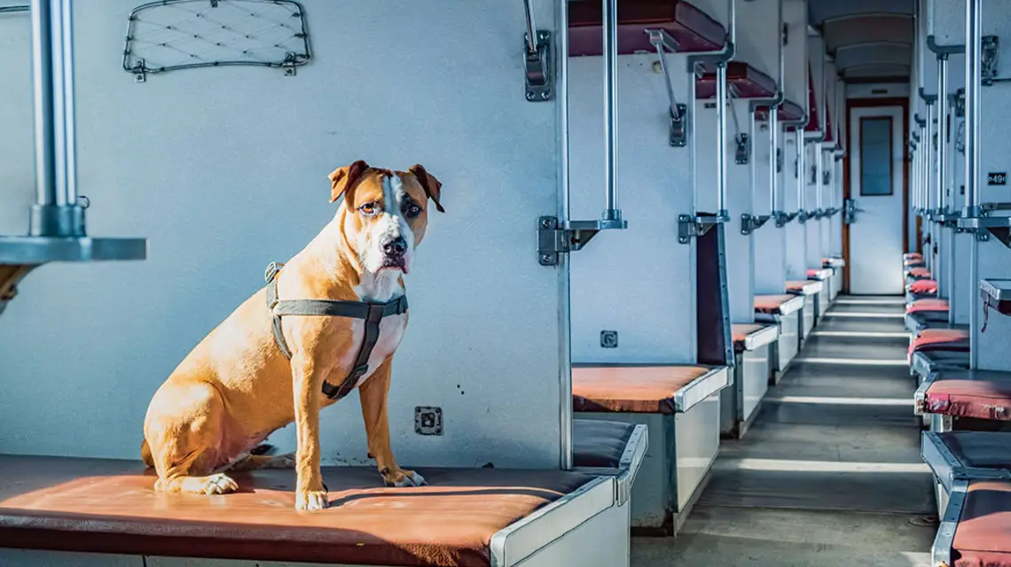  / STRINGER / REUTERS / FORUM