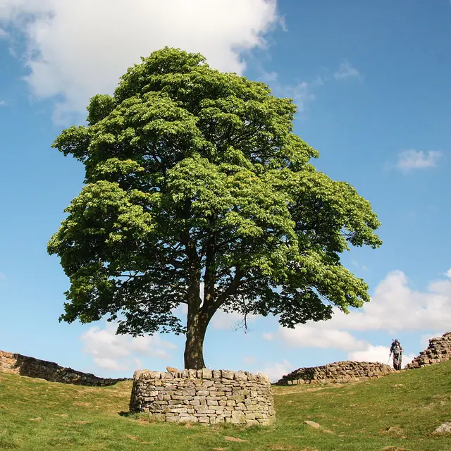  / MARK DAVIDSON / ALAMY / BEW