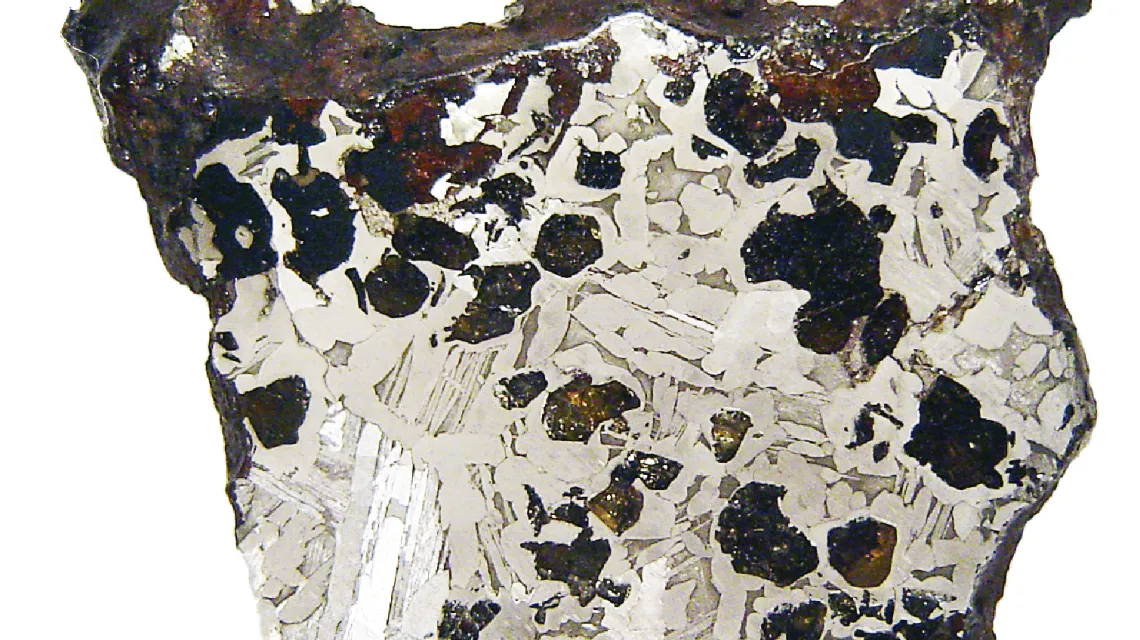 Płytka meteorytu żelazno-kamiennego Seymchan. Na wytrawionej kwasem powierzchni metalu widać układ kryształów różnych stopów żelaza i niklu (tzw. figury Widmanstättena). Pomiędzy nimi osadzoną frakcję kamienną – kryształy oliwinu / fot. archiwum autora / 