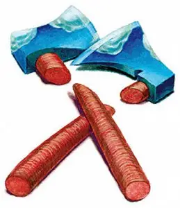 rys. MIROSŁAW OWCZAREK / 