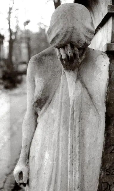 /fot. Wojciech Plewiński / 