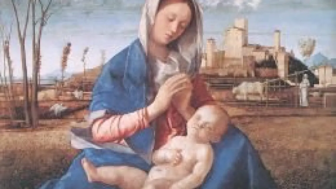 Giovanni Bellini "Madonna del prato", 1505 / 