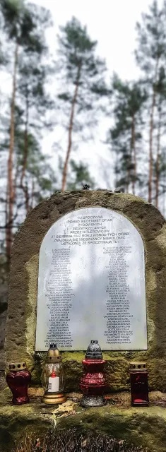 Miejsce egzekucji Żydów z okupacyjnego powiatu bocheńskiego, zamordowanych w sierpniu 1942 r. Kozie Górki w Puszczy Niepołomickiej, kwiecień 2018 r. / MICHAŁ OKOŃSKI