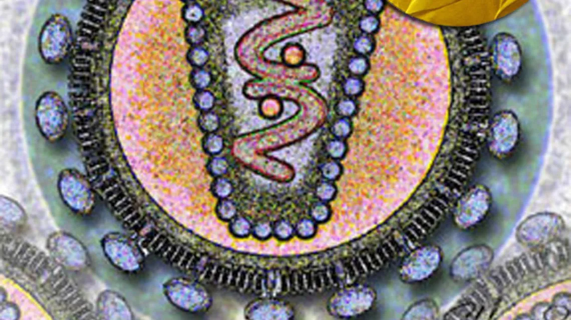 Komputerowy obraz przekroju przez wirus HIV /fot. Los Alamos National Laboratory / 