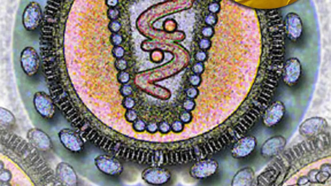 Komputerowy obraz przekroju przez wirus HIV /fot. Los Alamos National Laboratory / 