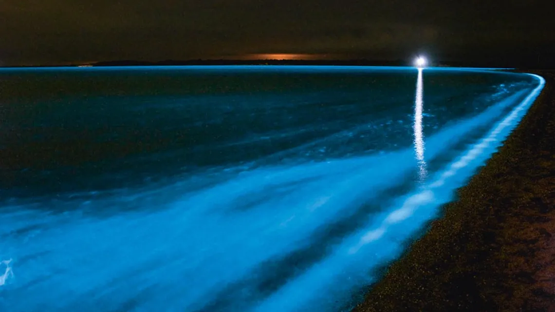 Bioluminescencja fal. Gippsland Lakes Coastal Park w Australii / GETTY IMAGES