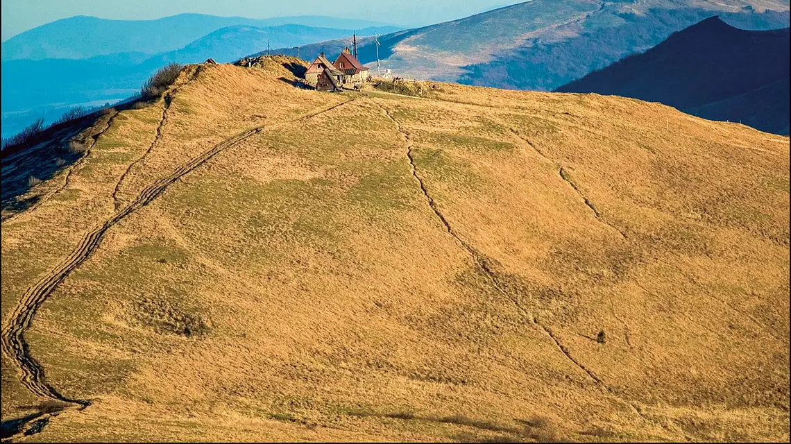  / ROMAN PACH / FORUM