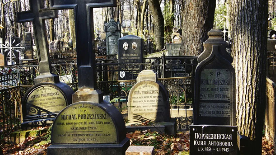 Cmentarz Wwiedeński, rok 2008 /fot. Anna Łabuszewska / 
