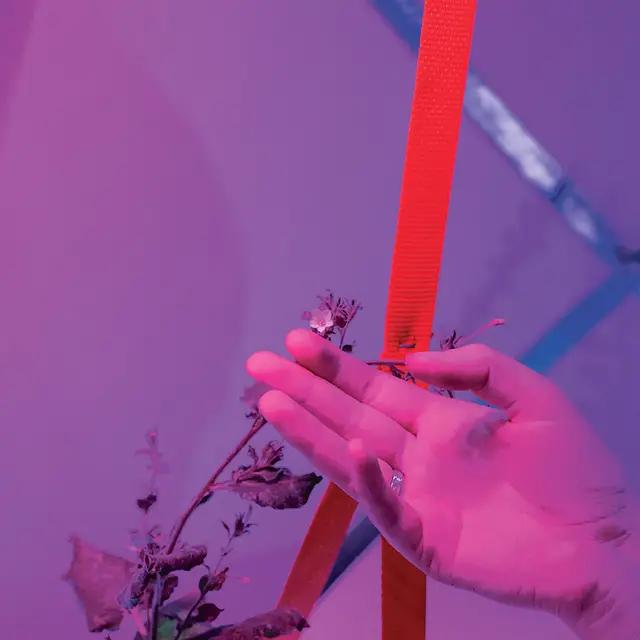 Cyrus Clarke, Monika Seyfried, „Grow Your Own Cloud”. Instalacja Ogród Danych, SXSW 2020 (fragment) / 