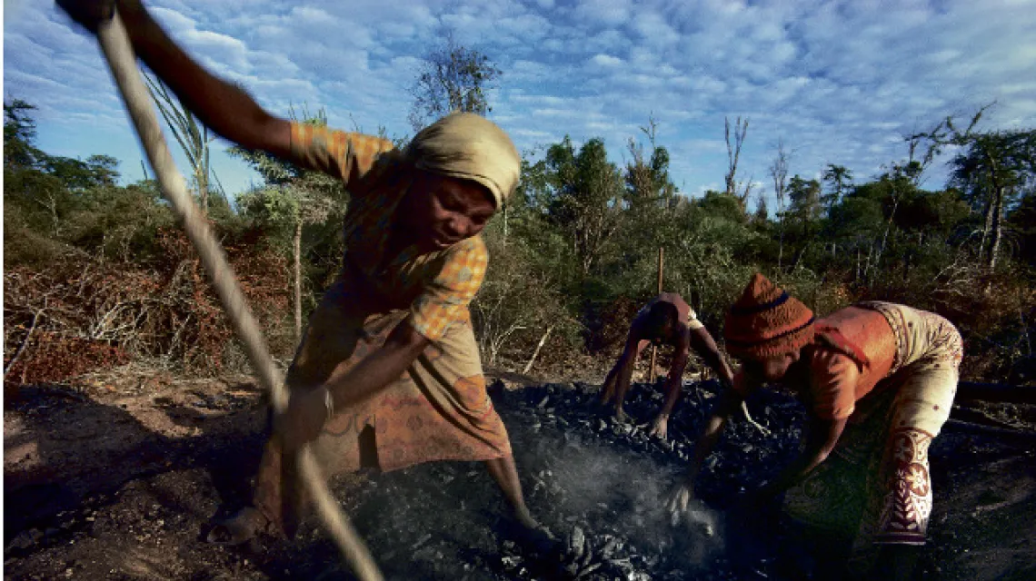 Kopiący węgiel, okolice Amboasary, Madagaskar / fot. Frans lanTing, Corbis / 