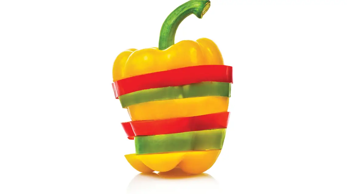  / ORLANDO BELLINI / ADOBE STOCK