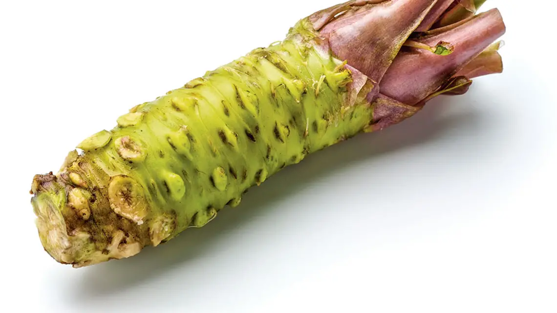  / Fot. ISTOCK / GETTY IMAGES