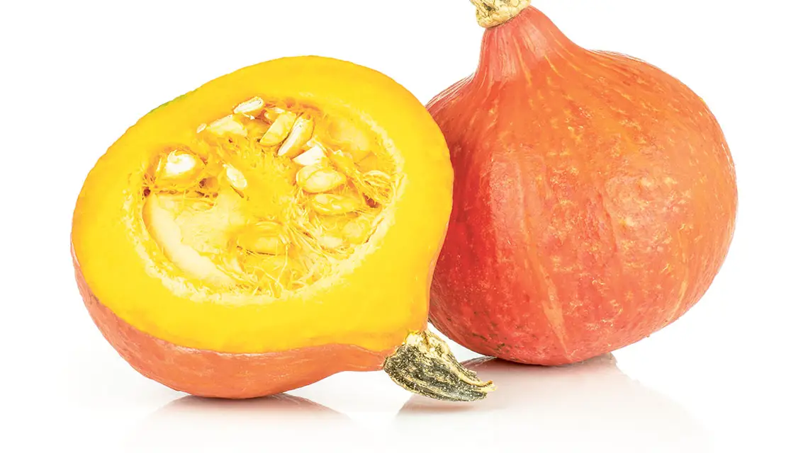  / KATERYNA BIBRO / ADOBE STOCK