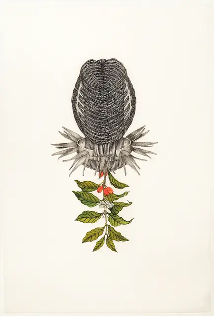 „Coffea arabica (Clarissa)”, 2011 / JOSCELYN GARDNER / BUNKIER SZTUKI