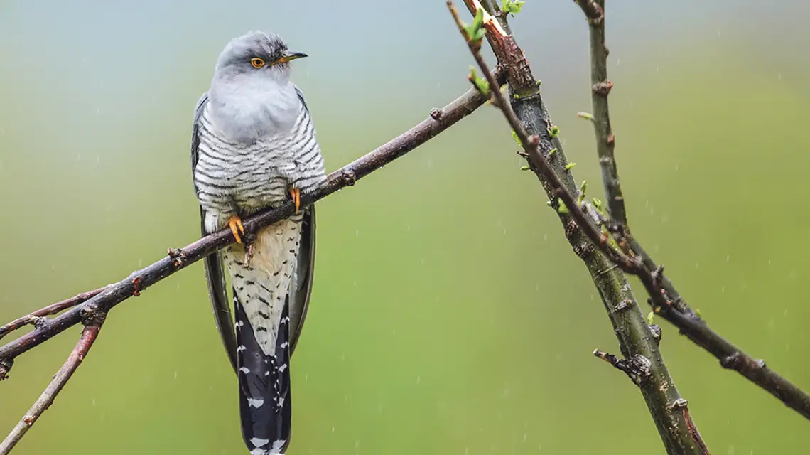  / DEPOSITPHOTOS