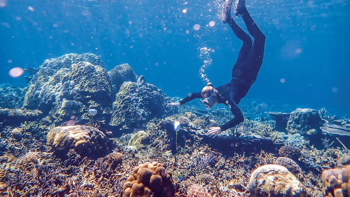 Ustawianie hydrofonu na rafie koralowej w Sulawesi, Indonezja. Czerwiec 2019 r. / TIM LAMONT / UNIVERSITY OF EXETER