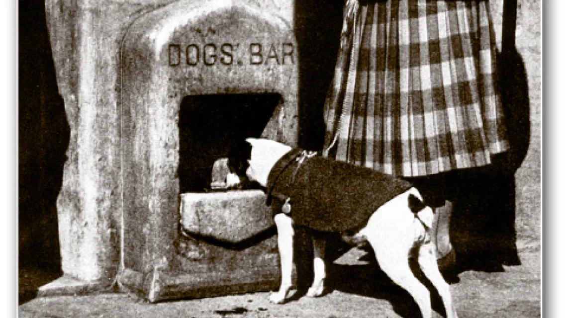 Bar dla psów – wynalazek Cimrmana / 