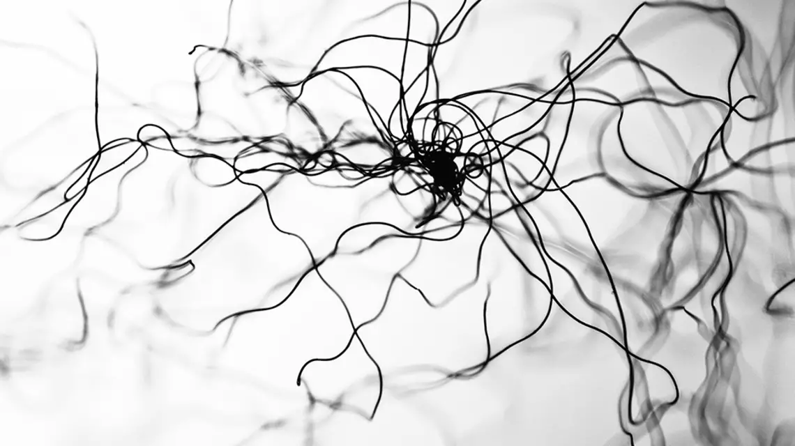  / iStock / Getty Images