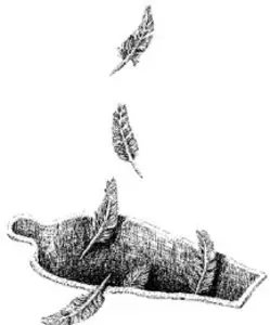 Rys. MIROSŁAW OWCZAREK / 