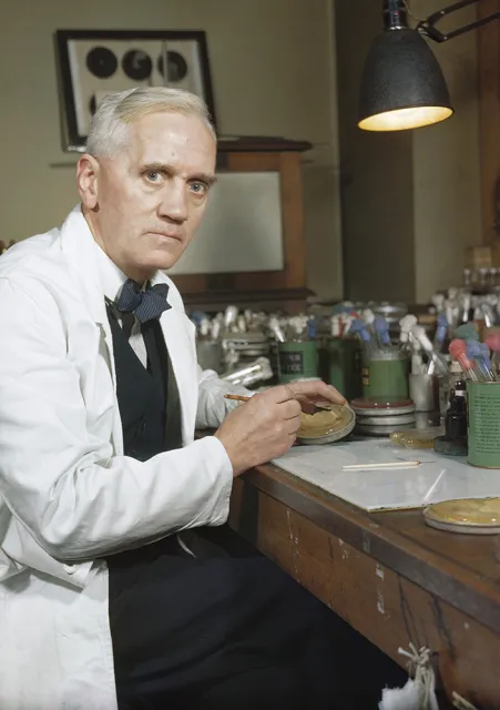 Alexander Fleming w swoim londyńskim laboratorium. / IMPERIAL WAR MUSEUMS