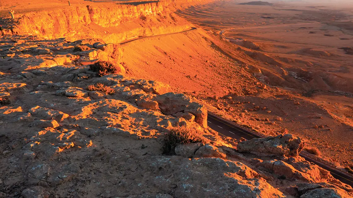  / ARCHIWUM FRIENDLY NEGEV DESERT