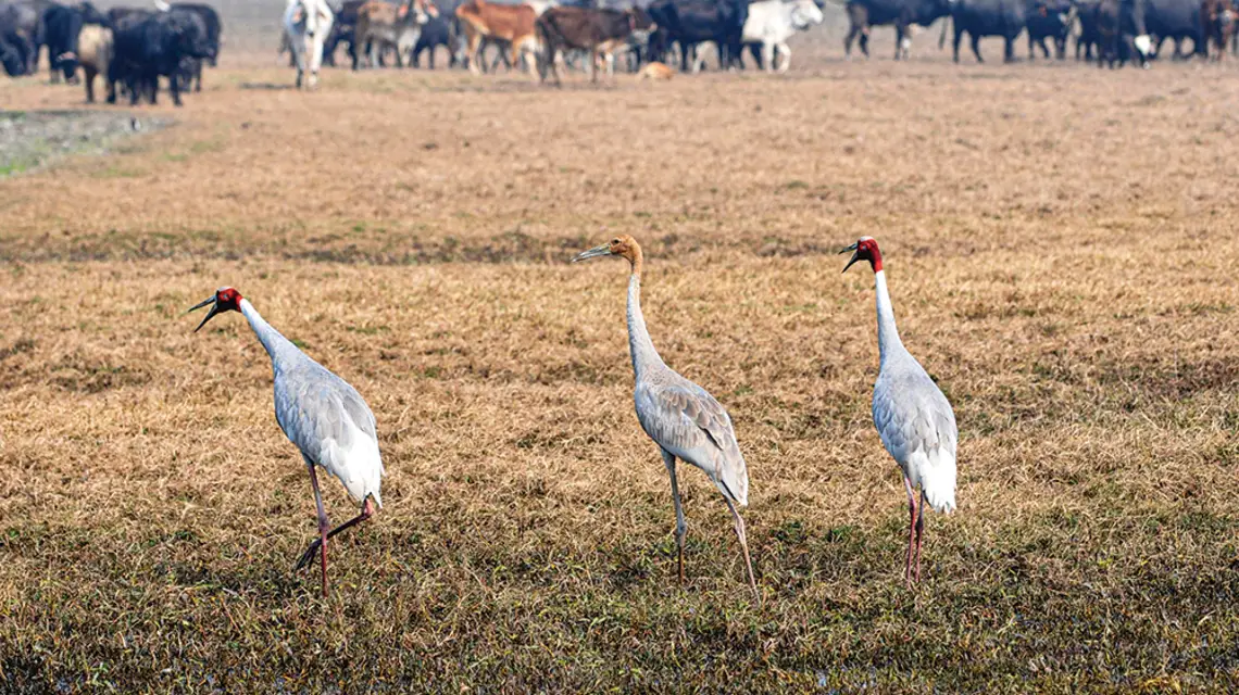  / SUNIL GHOSH / HINDUSTAN TIMES / GETTY IMAGES