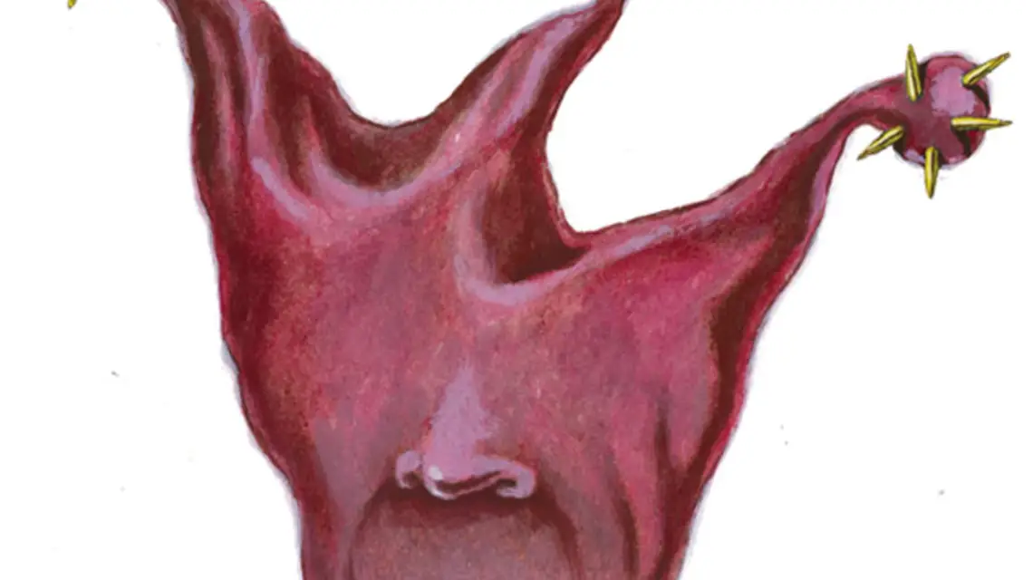 / rys. Mirosław Owczarek / 